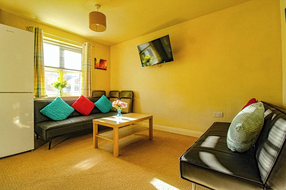 Flat-screen TV
