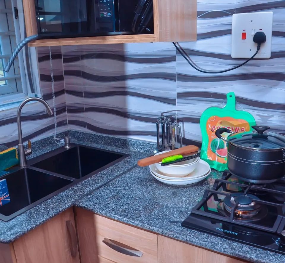 Family Apartment, Balcony, City View | Private kitchen | Fridge, microwave, oven, stovetop