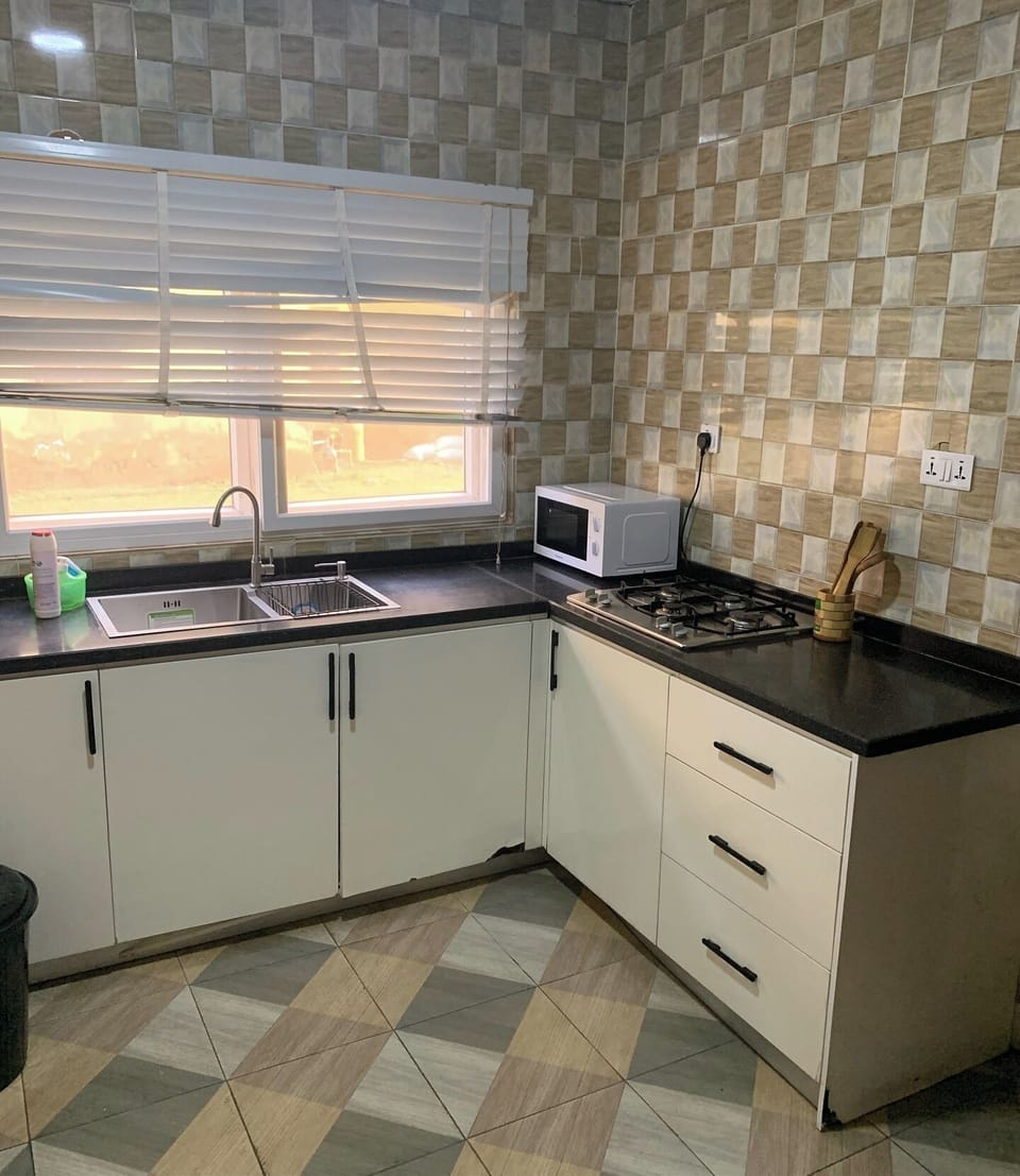 Family Apartment, Balcony, City View | Private kitchen | Fridge, microwave, oven, stovetop