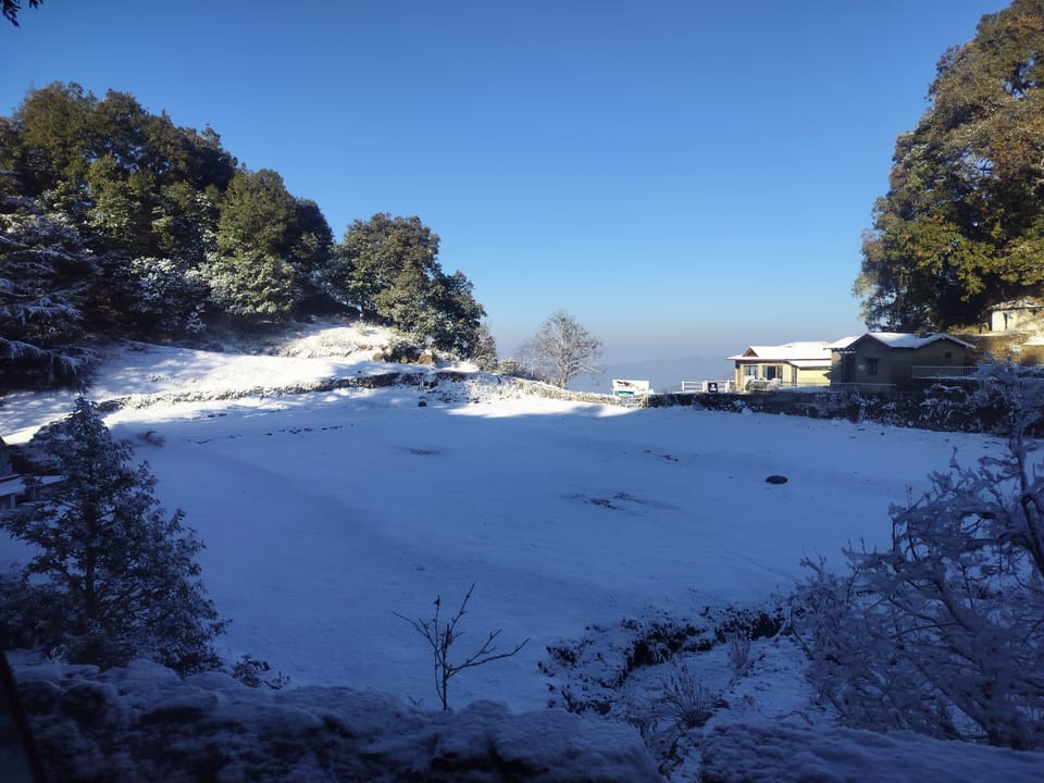 View from property