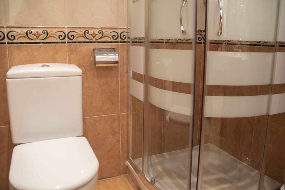 Hair dryer, bidet, towels, soap