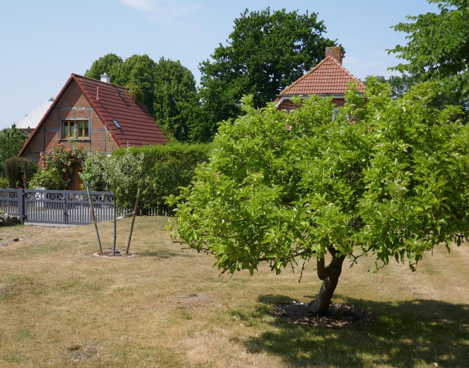 House | View from property