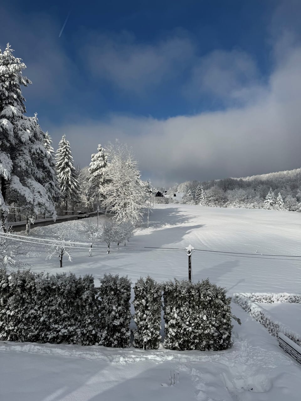 Comfort Double Room, Garden View | View from room