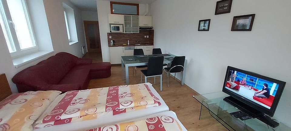 Classic Apartment, Lake View | Desk, cribs/infant beds, free WiFi, bed sheets
