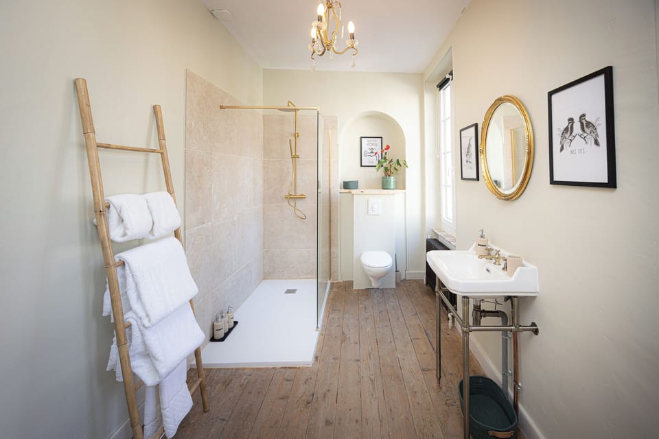 Deluxe Double or Twin Room, Canal View | Bathroom | Shower, hair dryer, towels, soap