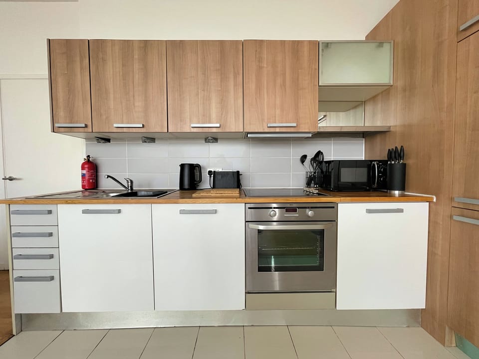 Luxury Apartment, City View | Private kitchen | Fridge, microwave, oven, stovetop