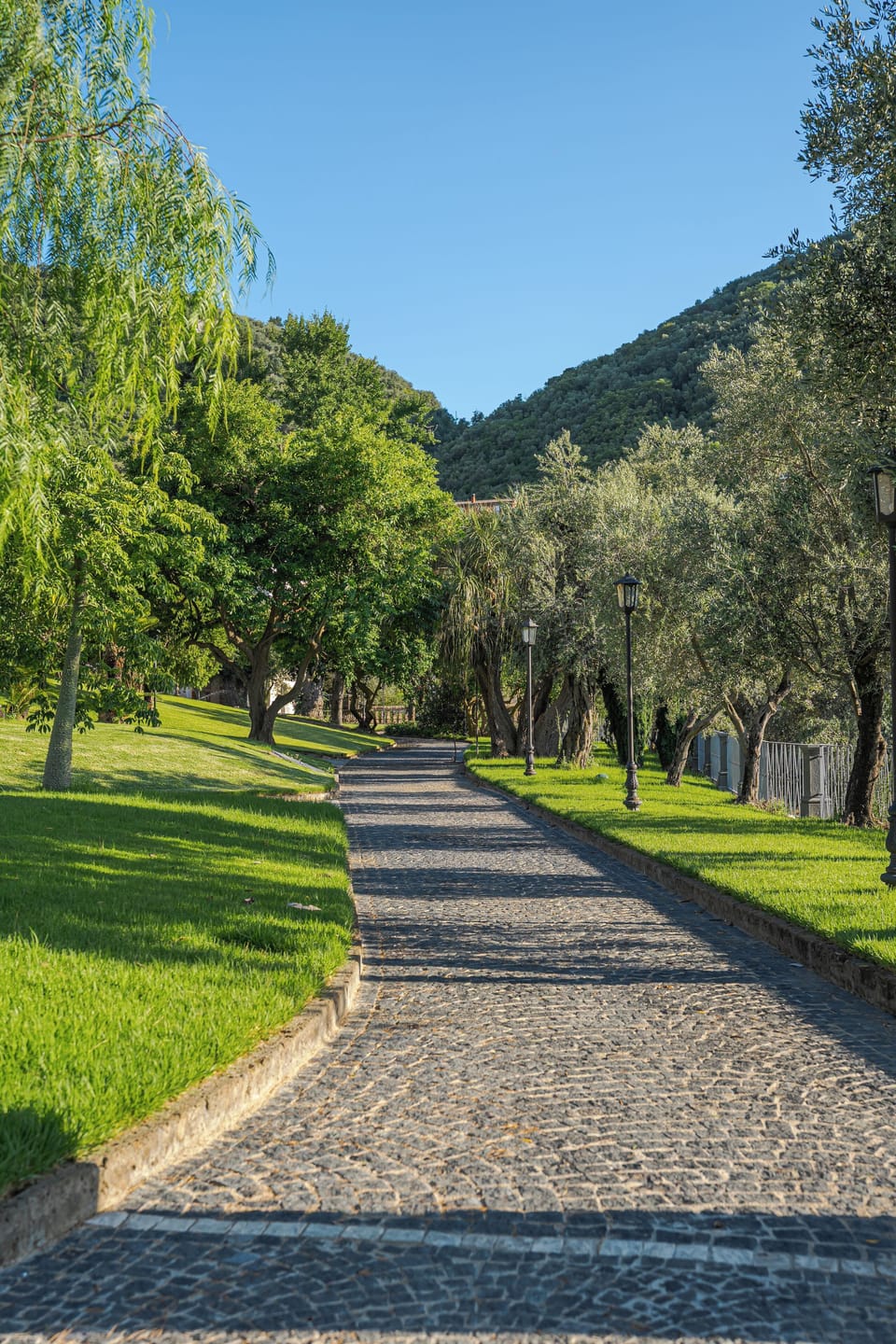 Superior, 1 letto king, finestra con vista collina | Egyptian cotton sheets, premium bedding, down comforters, minibar