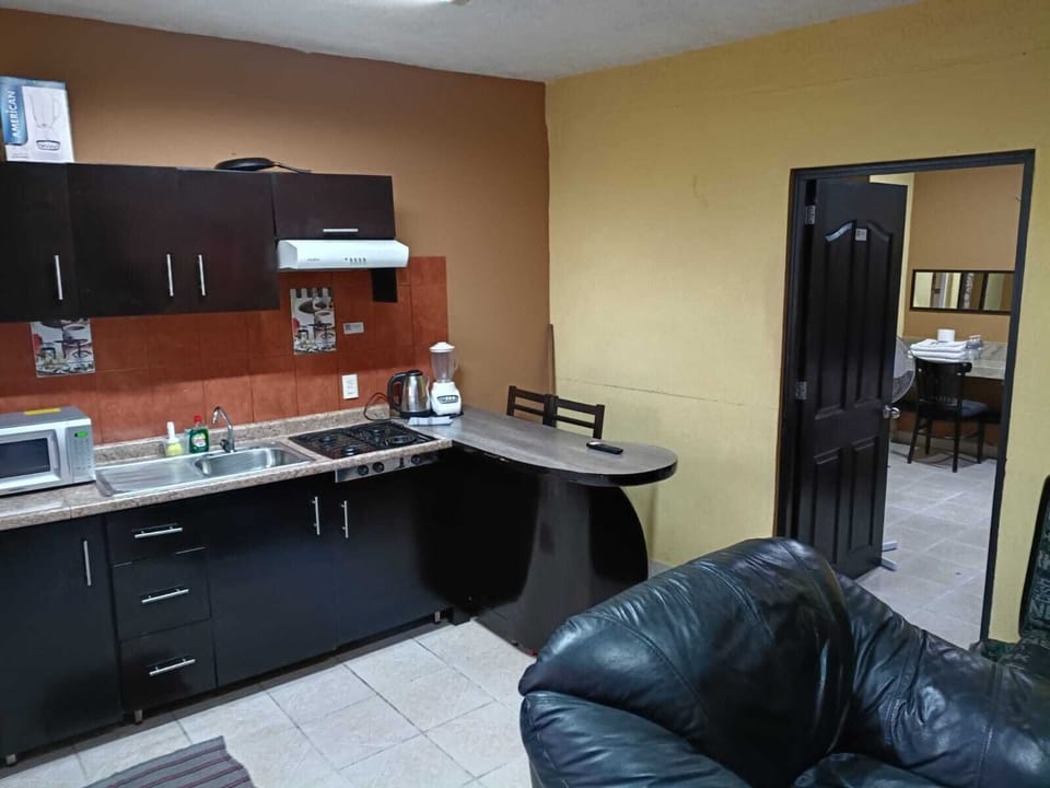 Family Studio Suite, Patio, City View | Private kitchen | Electric kettle, cookware/dishes/utensils