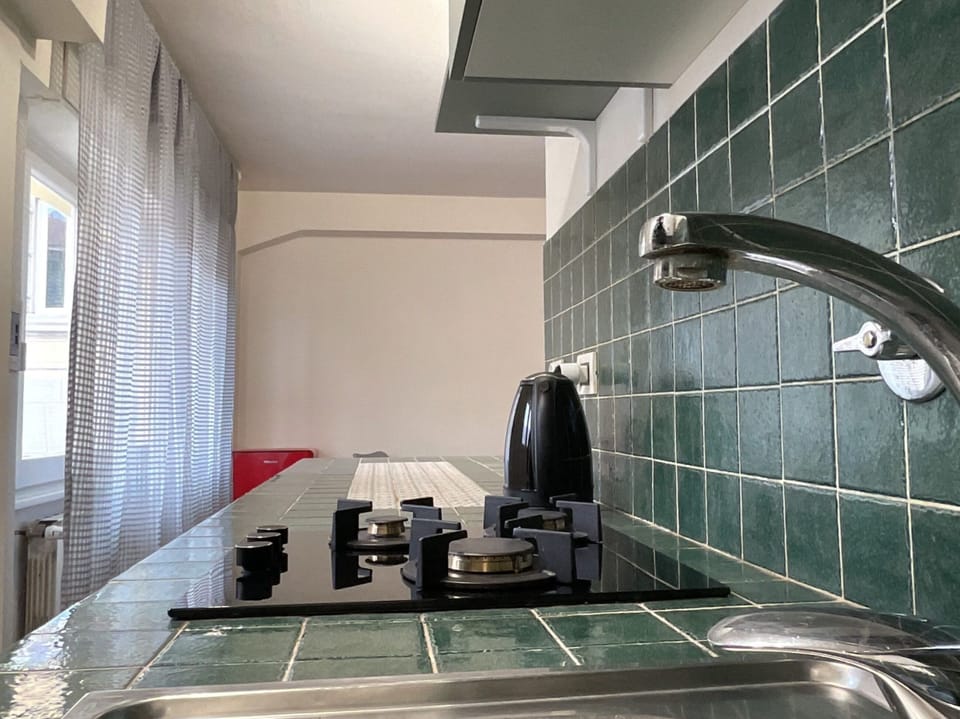 Classic Apartment, City View | Private kitchen | Fridge