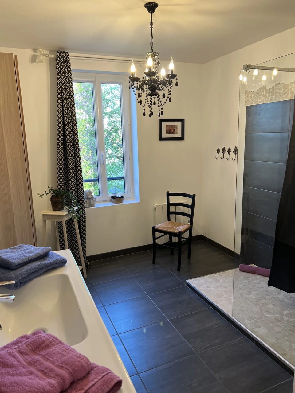 Shower, hair dryer