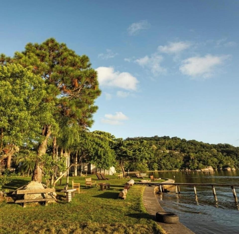 Lake view