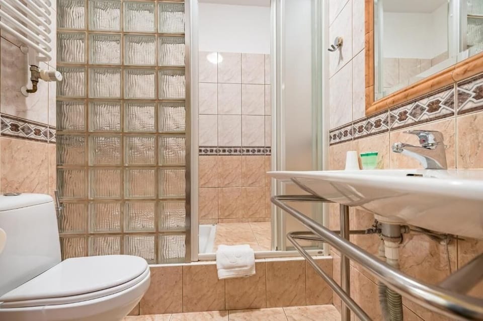 Comfort Double Room | Bathroom | Shower, hair dryer, towels, soap