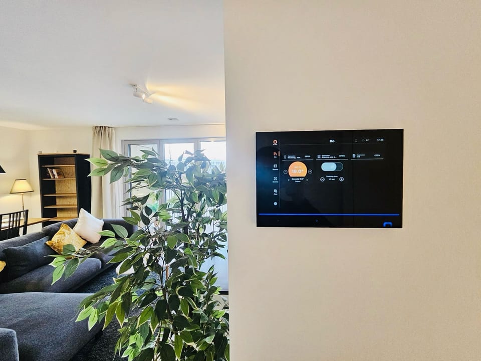 Flat-screen TV