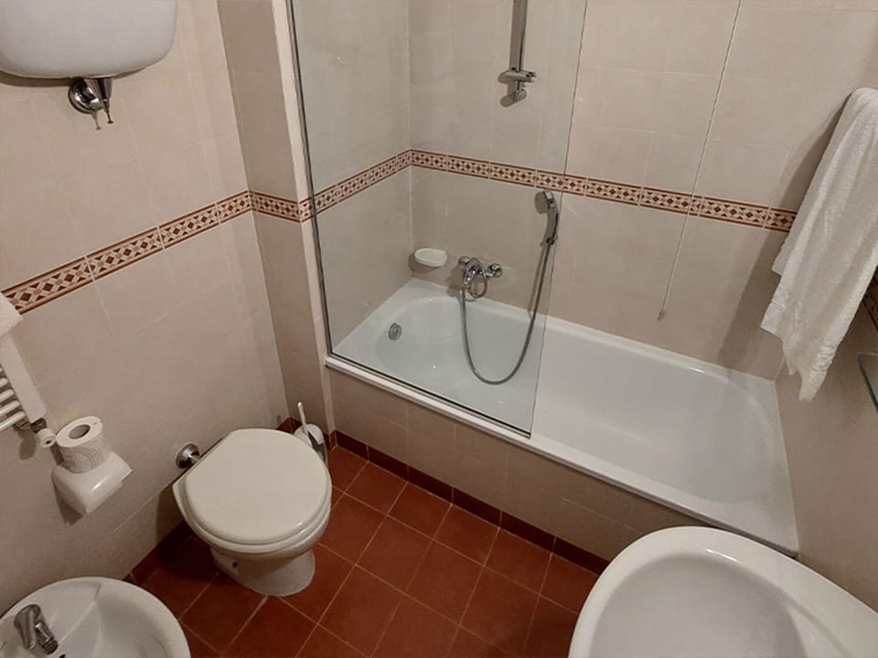 Shower, free toiletries, hair dryer, bidet