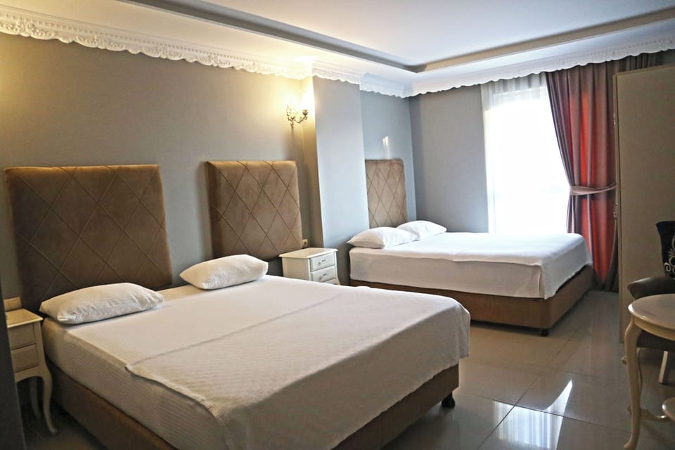 Minibar, desk, laptop workspace, WiFi (free)
