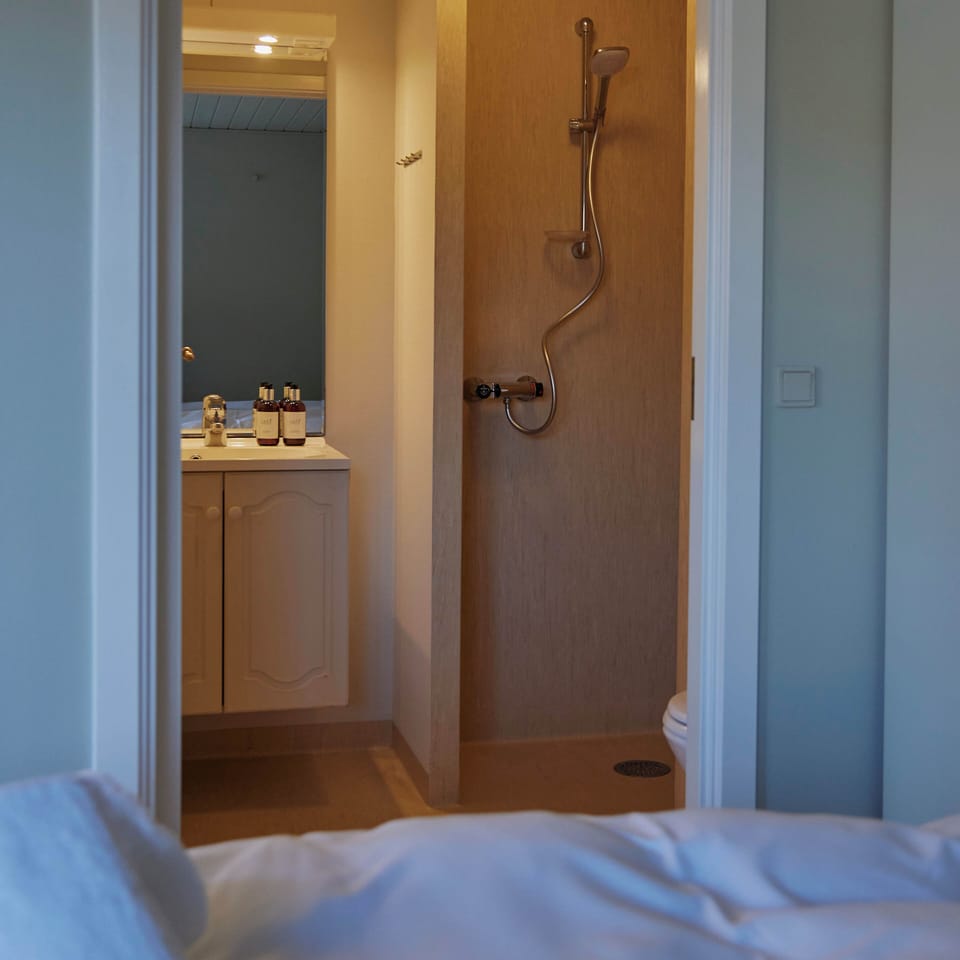 Comfort Studio | Bathroom | Shower, hair dryer, towels, soap