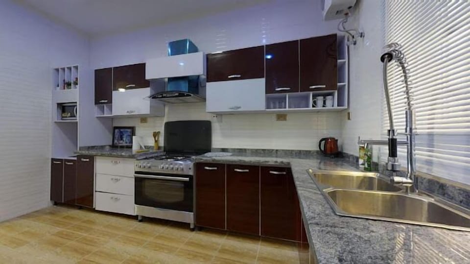 Economy Apartment, Balcony, City View | Private kitchen | Fridge, microwave, oven, stovetop