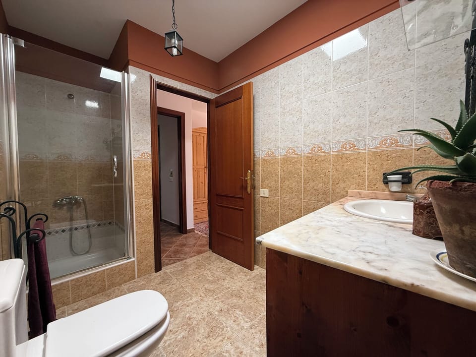 Premium Double Room, 1 King Bed, Private Bathroom, Mountain View | Bathroom | Shower, free toiletries, hair dryer, towels