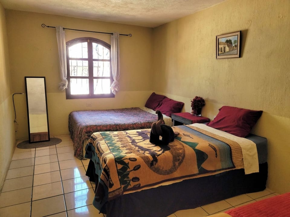 Economy Double or Twin Room, Mountain View | WiFi (free)