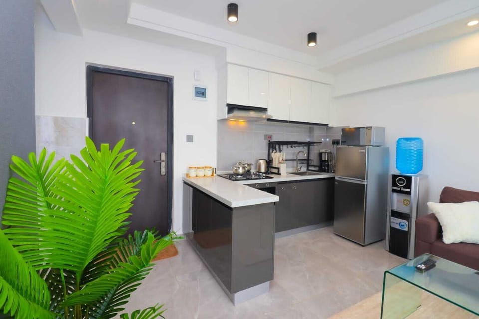Deluxe Apartment, City View | Private kitchen | Fridge, microwave, cookware/dishes/utensils