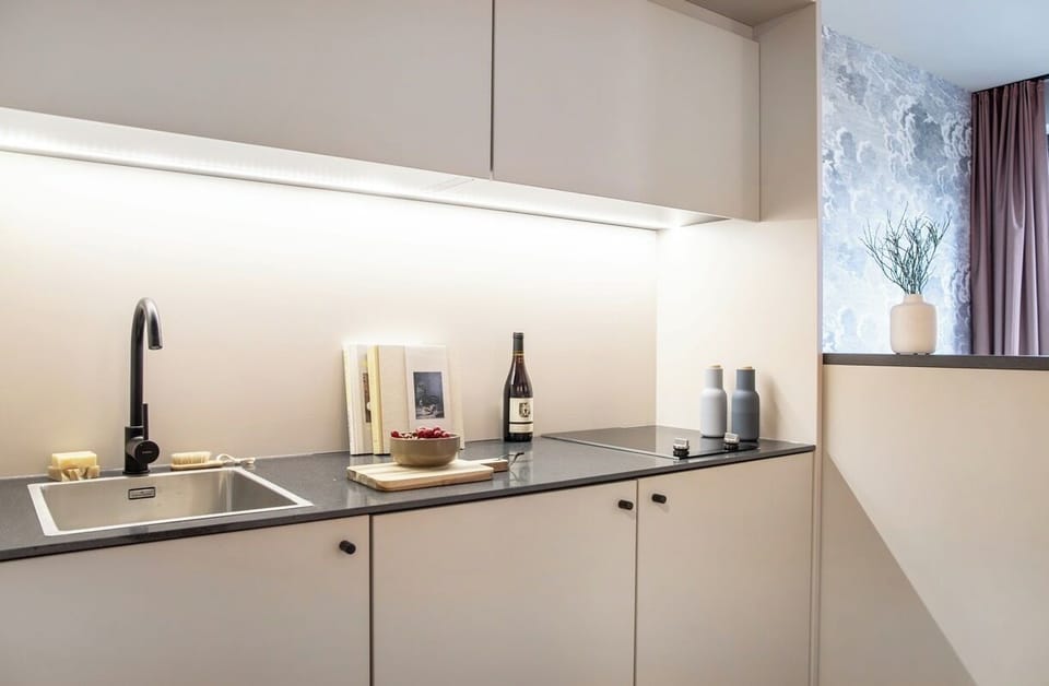 Studio | Private kitchen | Fridge, microwave, stovetop, dishwasher