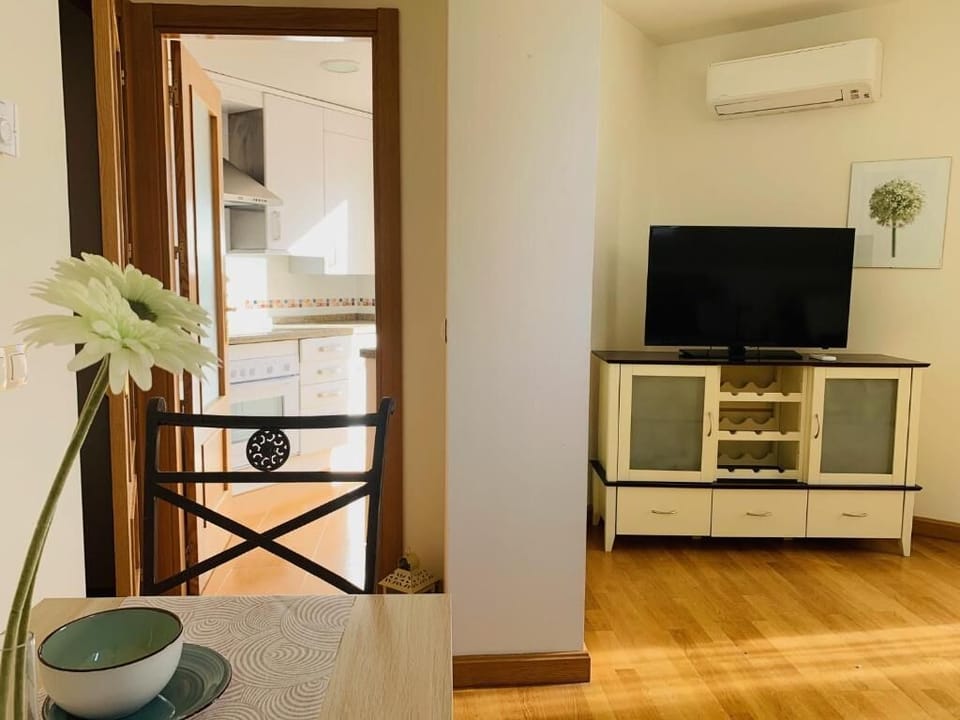 Standard Penthouse | Living area | 22-inch TV with cable channels