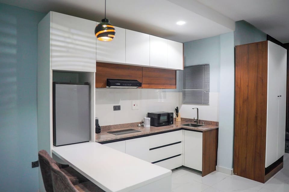 Standard Apartment, Balcony, City View | Private kitchenette | Fridge, microwave, oven, stovetop