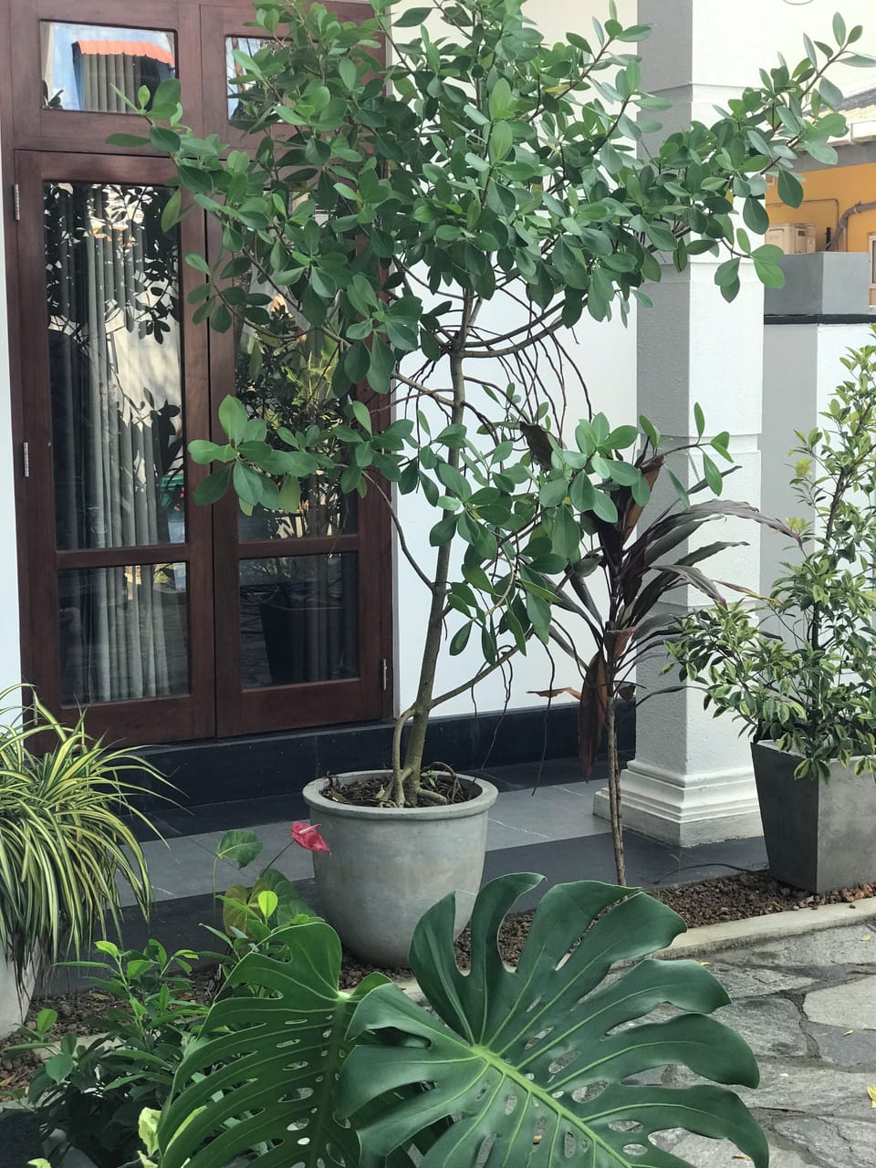 Front of property