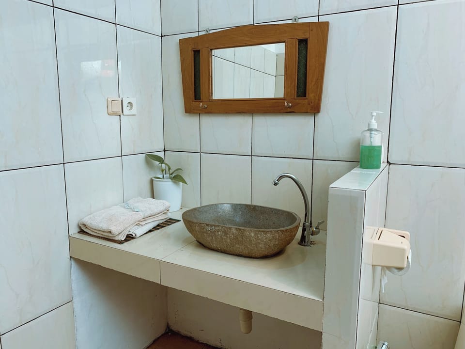 Deluxe Suite | Bathroom | Shower, free toiletries, towels, soap