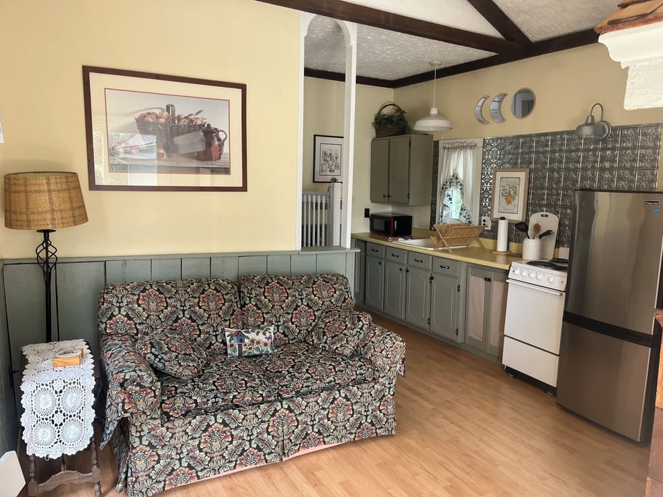 Comfort Studio Suite, Lake View | Living room | 32-inch plasma TV with cable channels