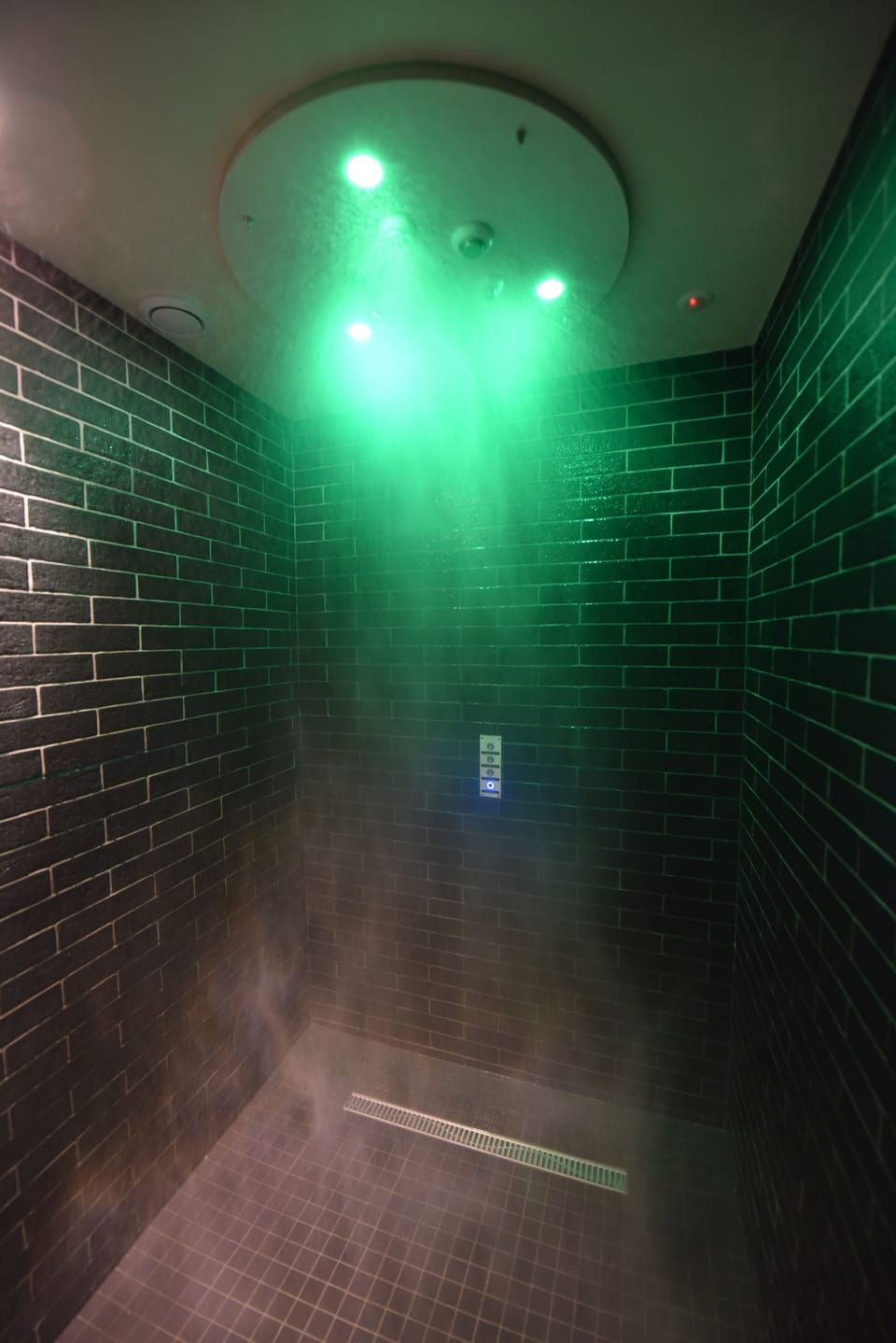Sauna, steam room
