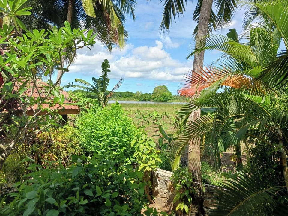Villa, 2 Bedrooms, Smoking, Private Pool | Garden