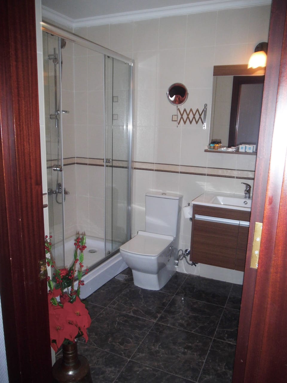 Hotel Daphne - Special Class Hotel in Istanbul