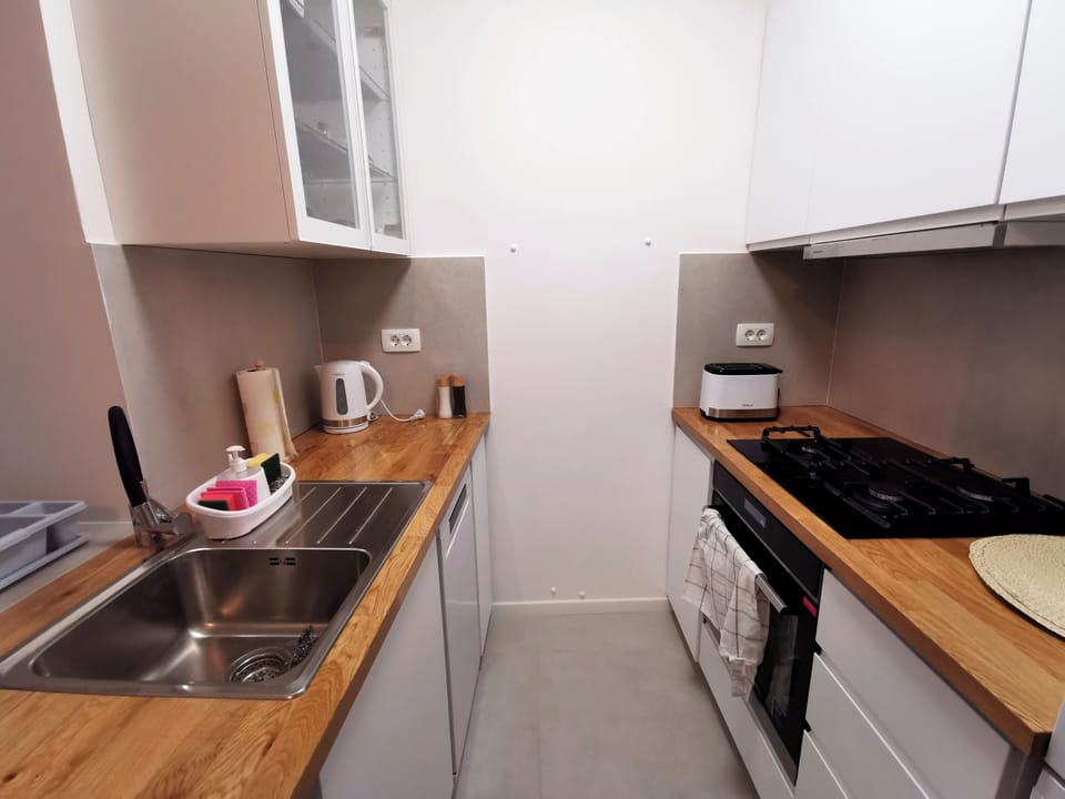 City Apartment, City View | Private kitchen | Full-size fridge, microwave, oven, stovetop