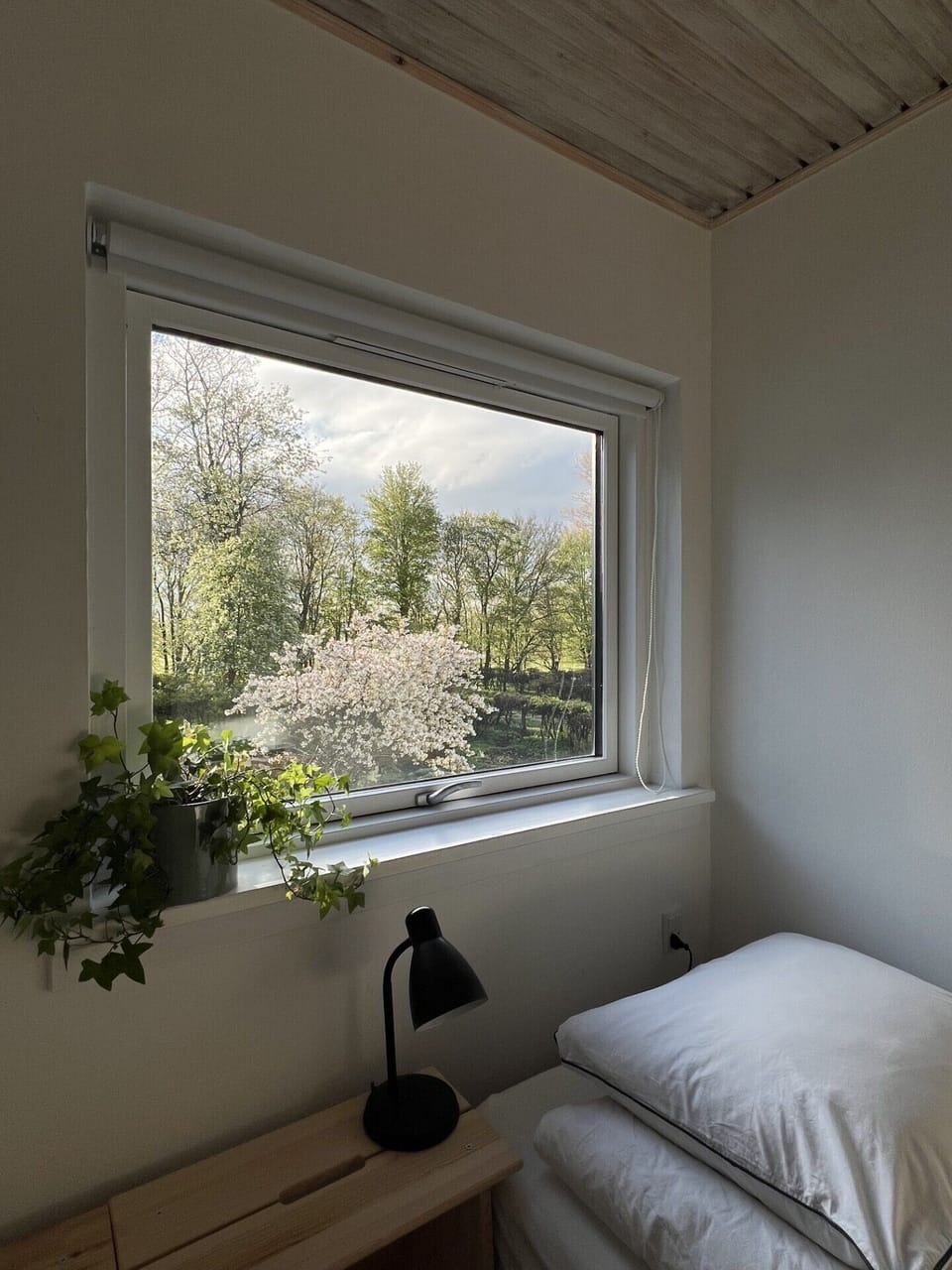 Classic Double or Twin Room, Garden View | Free WiFi