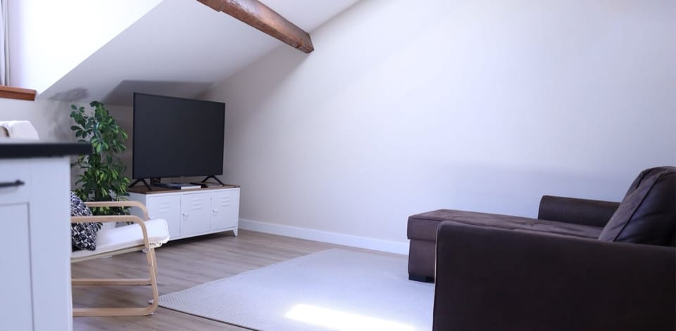 Luxury Apartment, City View | Living area | 50-inch Smart TV with cable channels