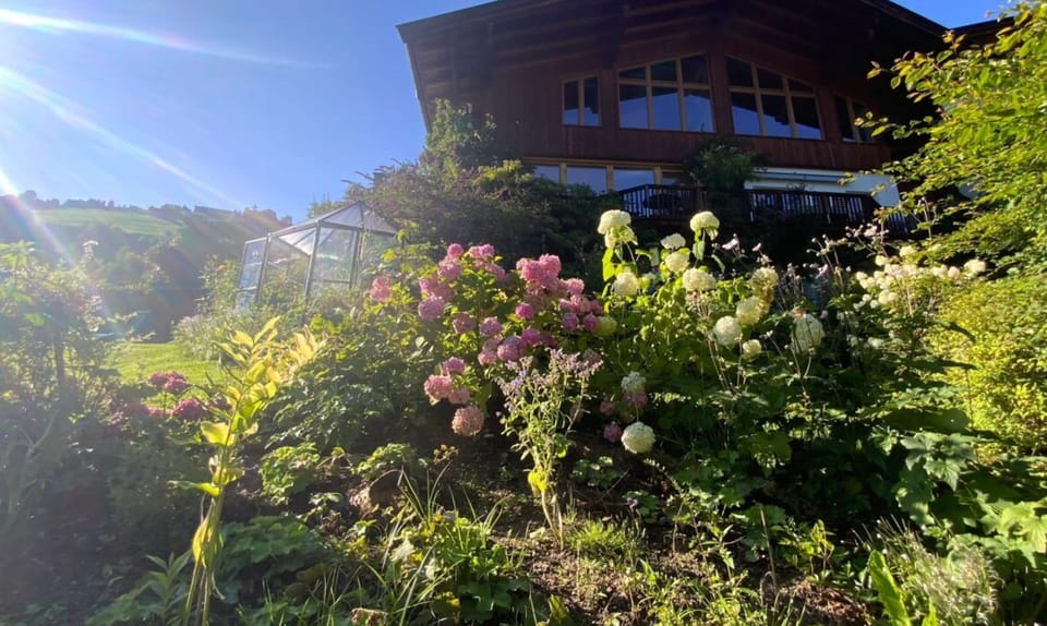 Chalet | Property grounds