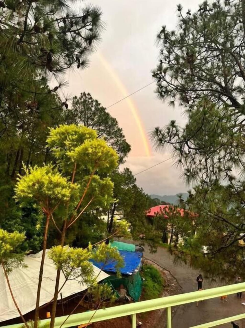 View from property