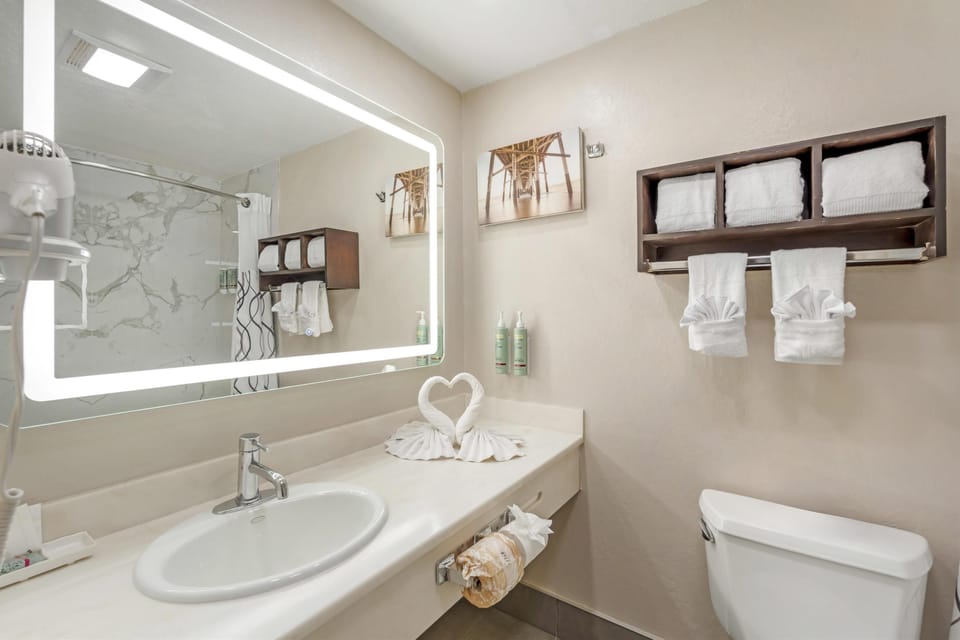 Standard Room, 1 King Bed, Non Smoking, Jetted Tub | Bathroom | Combined shower/tub, free toiletries, hair dryer, towels