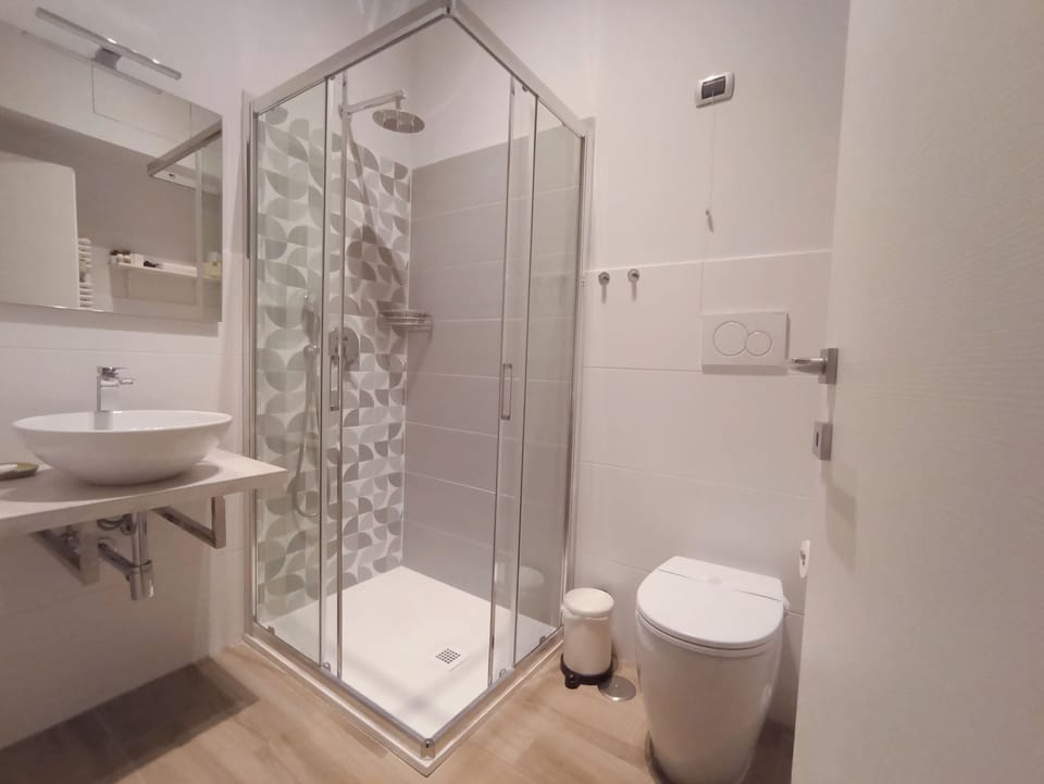 Classic Double Room | Bathroom | Shower, free toiletries, hair dryer, towels