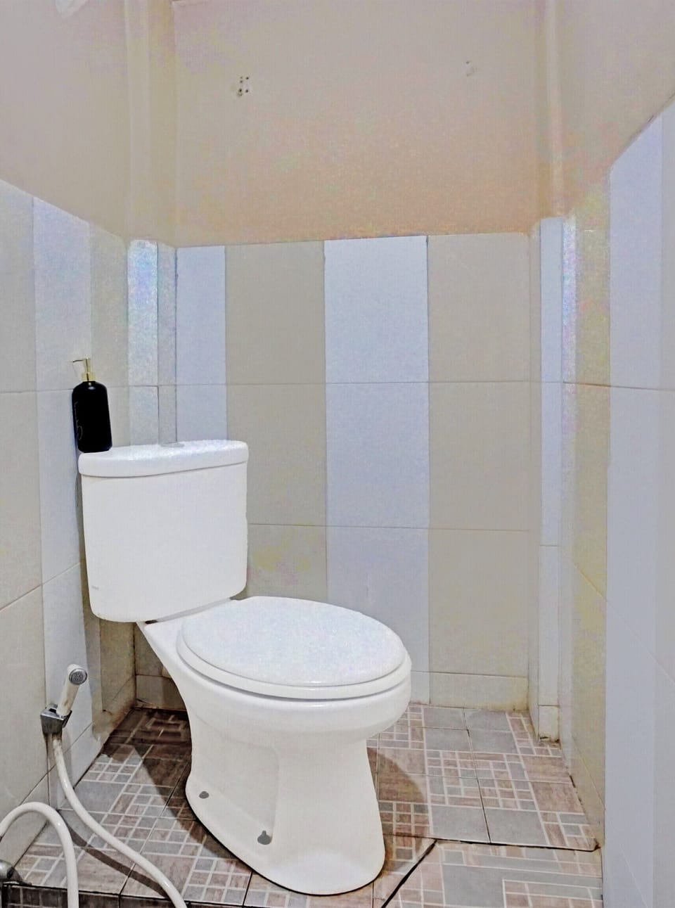 Shower, free toiletries, bidet, towels