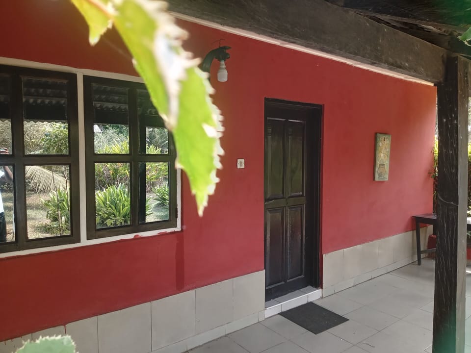 Standard Room, Balcony | Terrace/patio