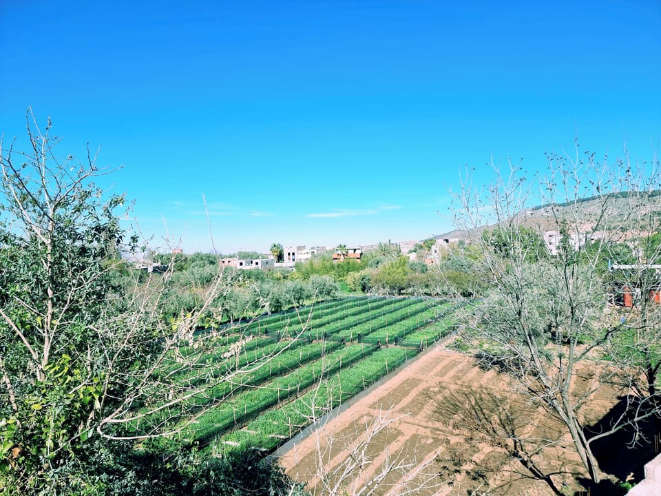 Land view from property