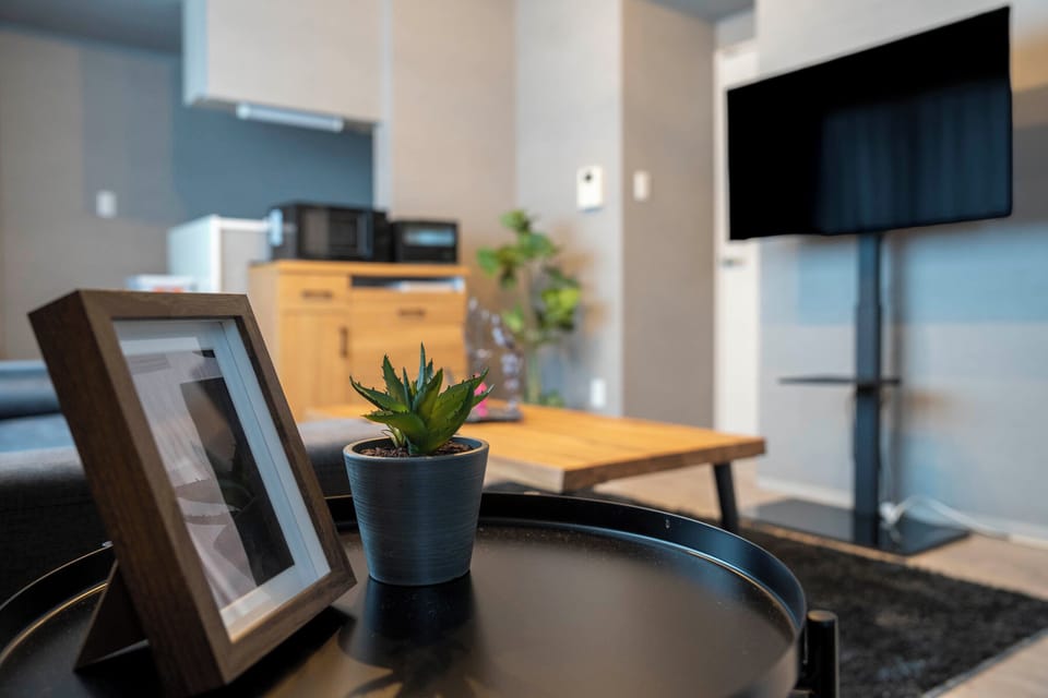Flat-screen TV