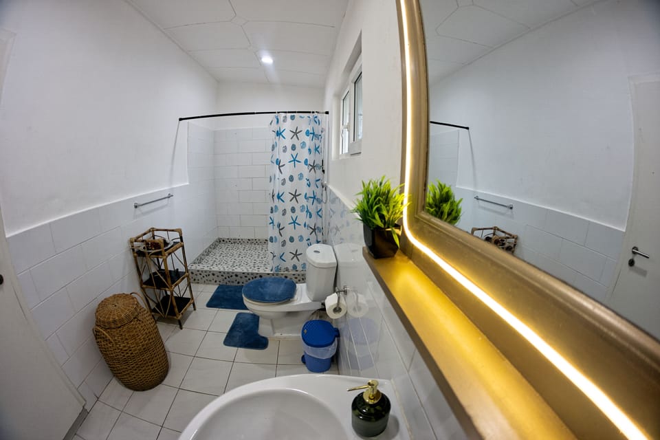 Deluxe Double Room, Pool View | Bathroom | Shower, free toiletries, towels, soap