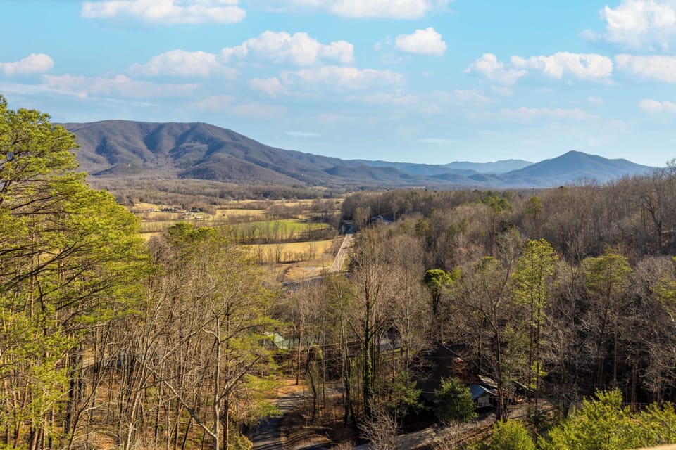 Signature Cabin, 4 Bedrooms, Balcony, Mountain View | View from room