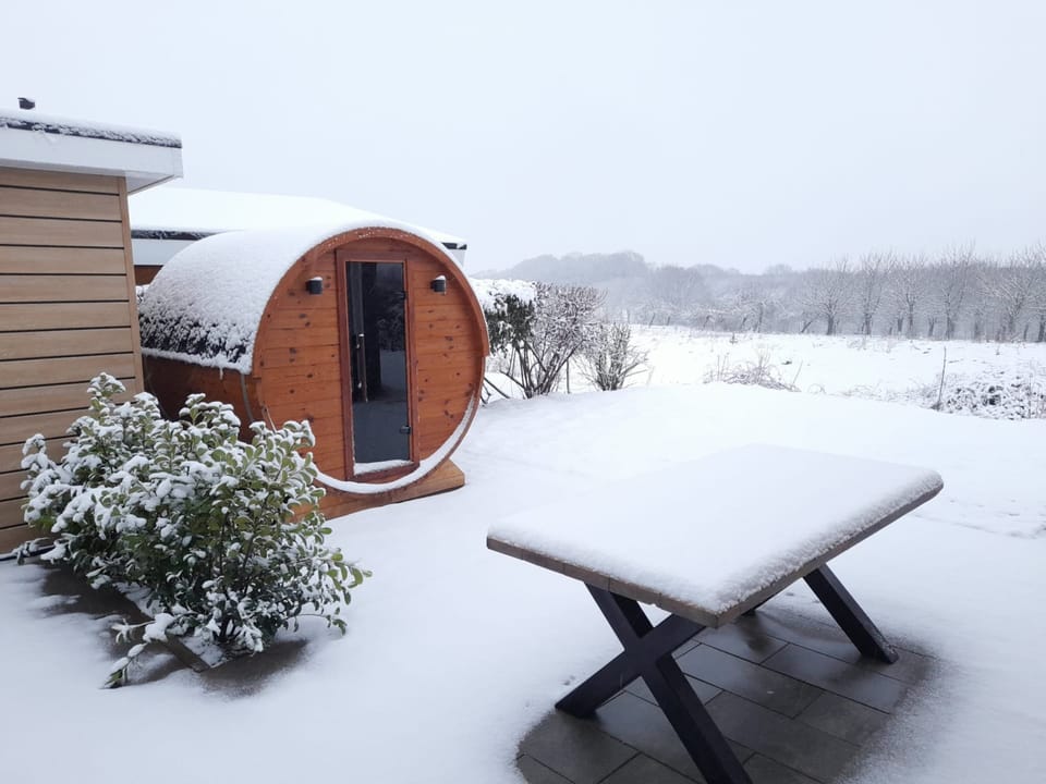 House | Property grounds