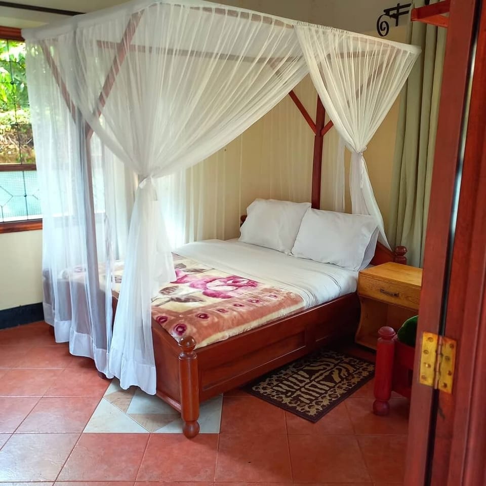 Comfort Single Room, Balcony, Mountain View | Free WiFi