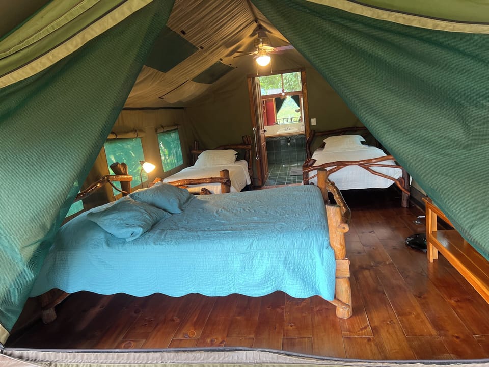 Superior Tent, Lake View | 1 bedroom