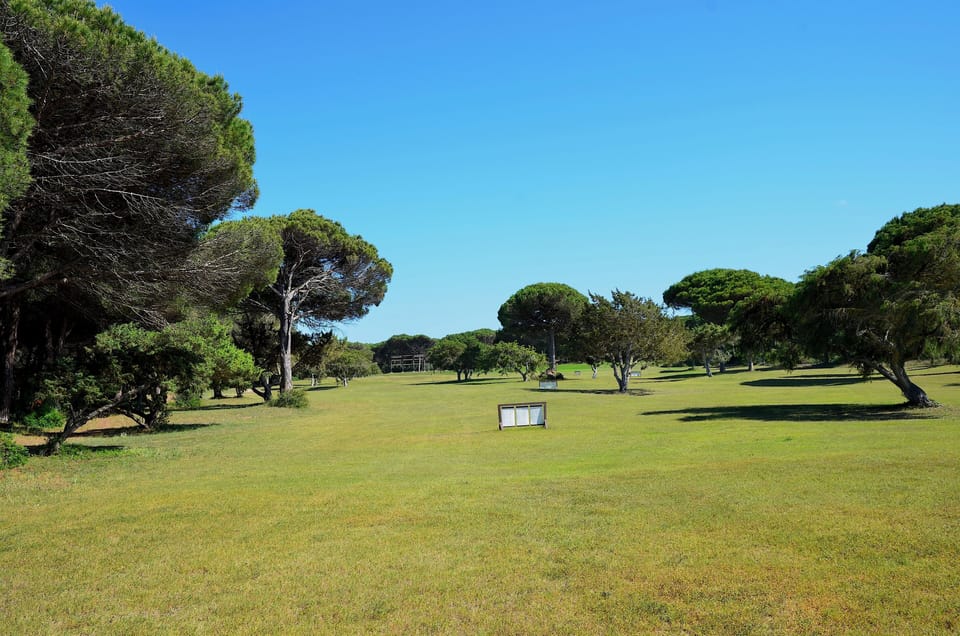 Golf view